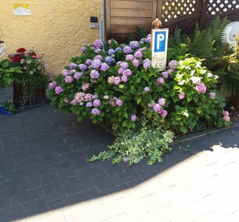 foto12