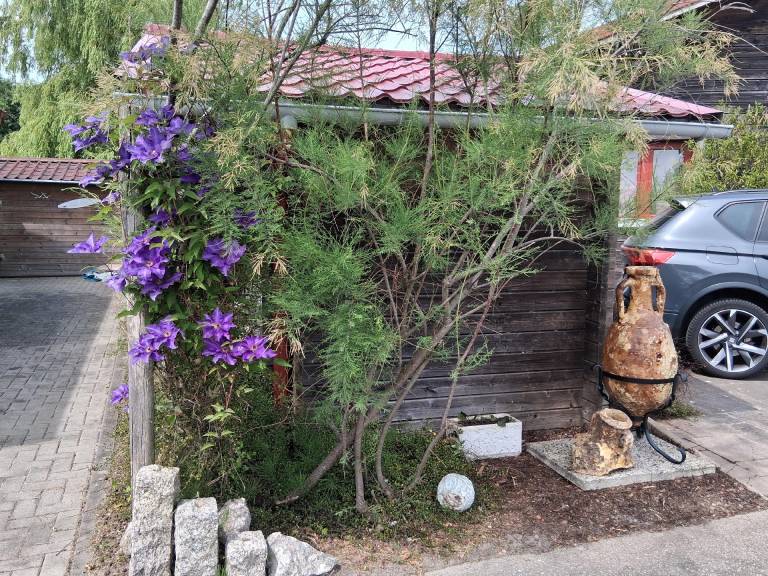 foto26