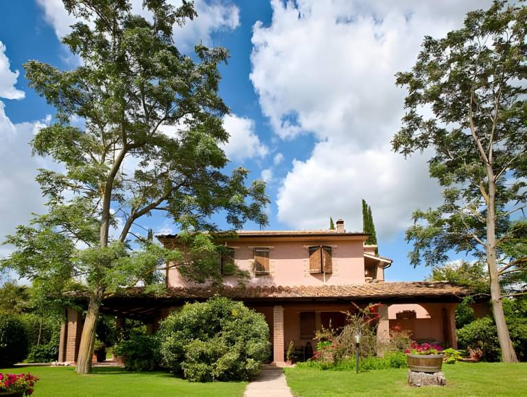 Farm with barbeque, pool & yard in Manciano