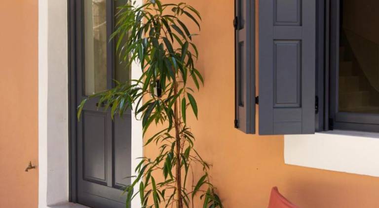 House with garden & patio — photo 5