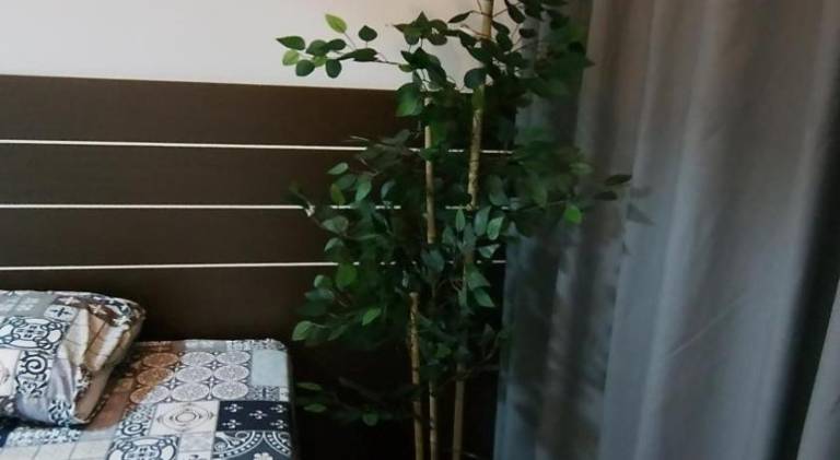 foto23