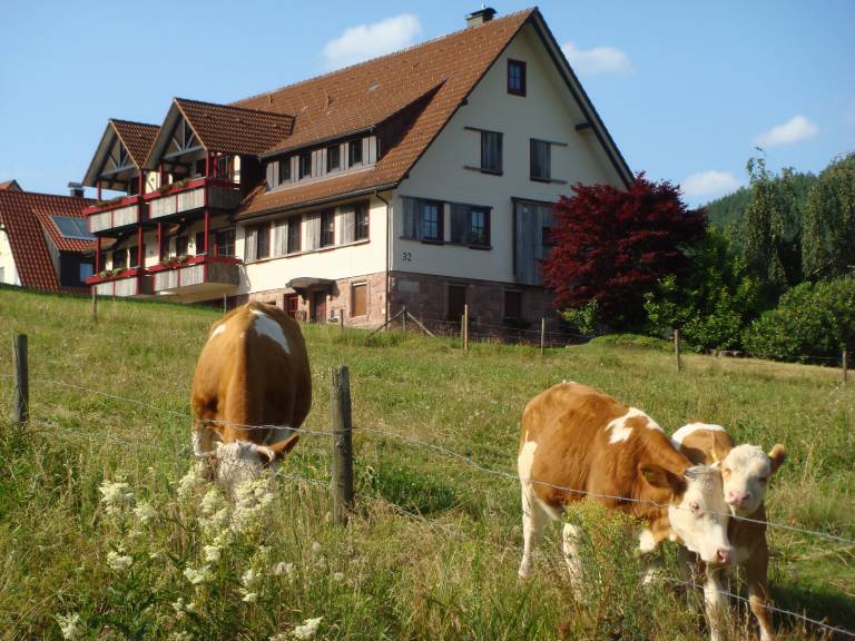 foto14