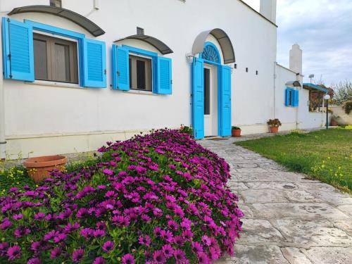 Bed and breakfast  Mola di Bari
