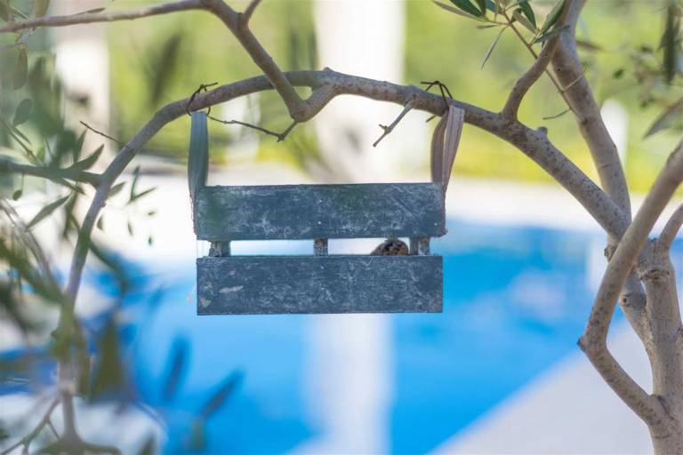 Villa Hvar Beauty with Swimming Pool — photo 4