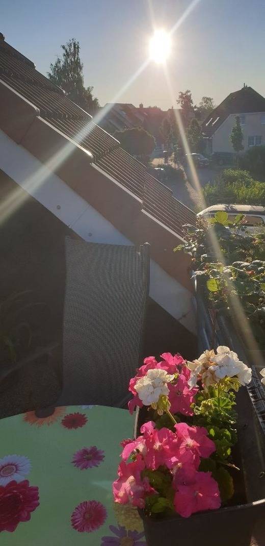 foto21