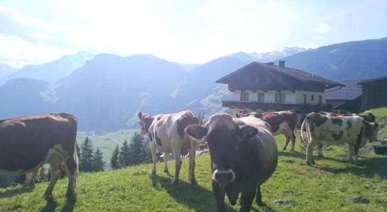 Huis Zell am Ziller