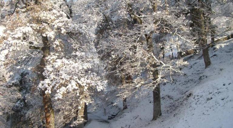 ベッド＆ブレックファスト Salvatierra/Agurain