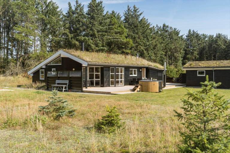 Ferienhaus mit Hund in Grønhøj f&uuml;r max. 8 Personen