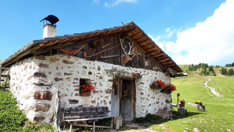 foto45