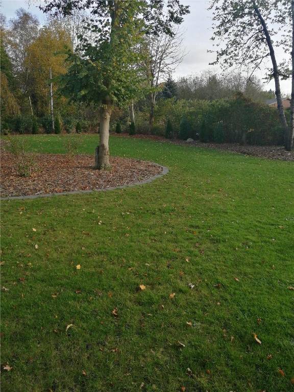 foto34