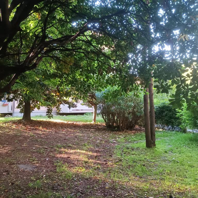 foto17