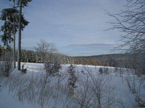 foto31