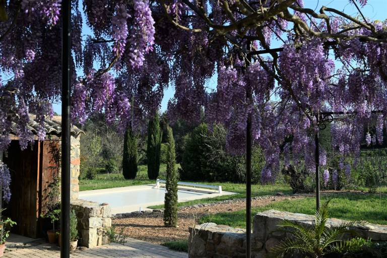 foto17