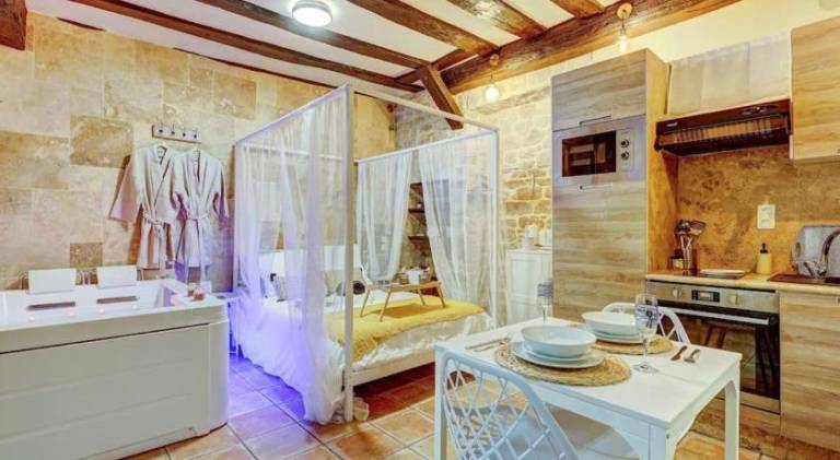 Lovely holiday apartment with jacuzzi | Pets are welcome in Beaune