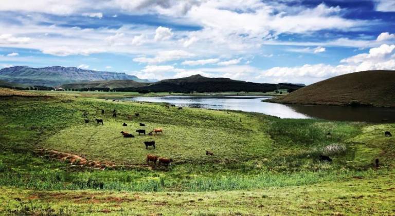 40 m² Ferienwohnung