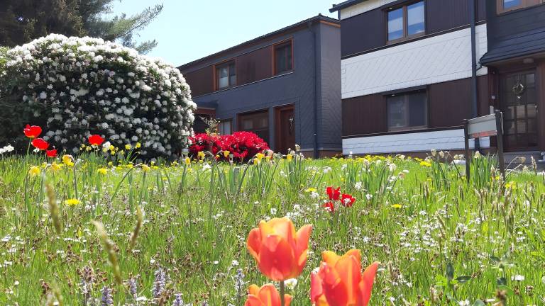 Ferienwohnung Cursdorf