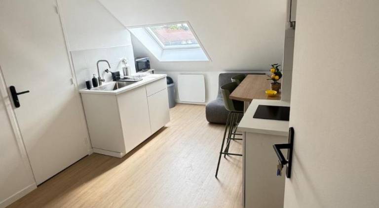 Holiday apartment with 1 room for 2 persons in Marcq-en-Baroeul