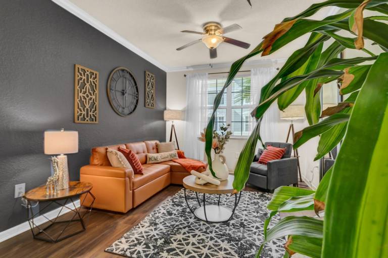 Apartment  Citrus Park Community