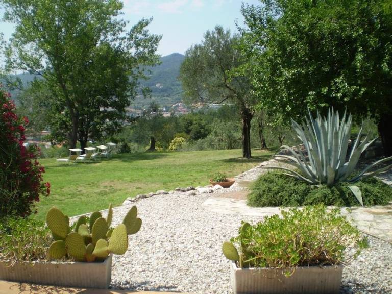 foto17
