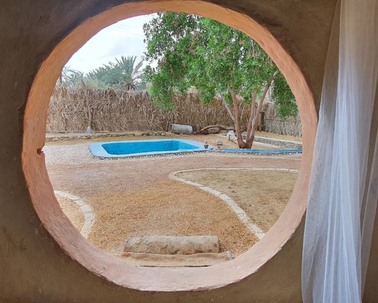 House with yard & pool — photo 4