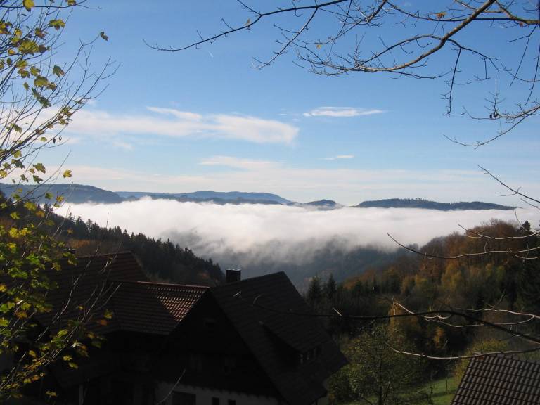foto29