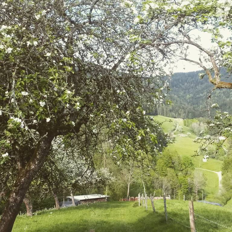 foto17