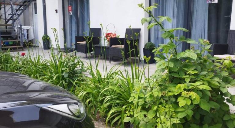 Vila ANA — photo 4