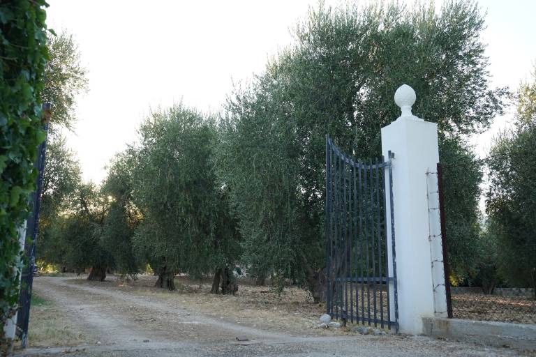 Casa Mattinata