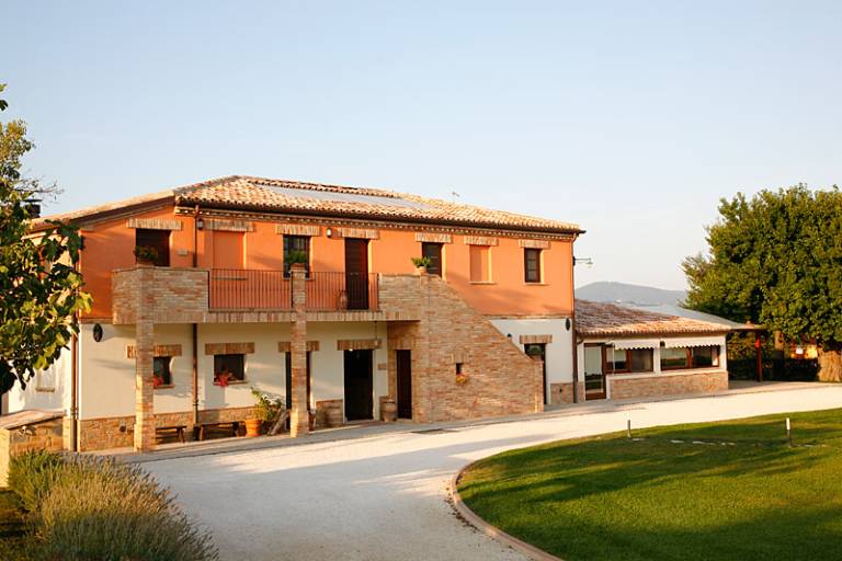 Le Bucoliche: Olivo — photo 4