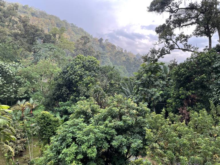 foto4