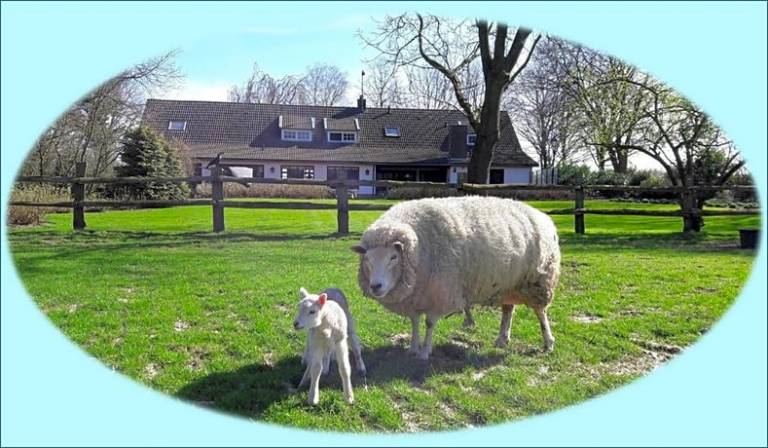 Bed & Breakfast Venray