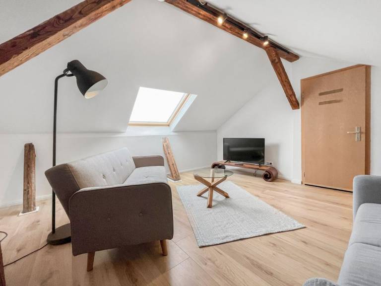 Ferienwohnung Ludwigshafen am Rhein