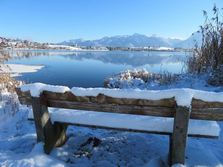 foto31