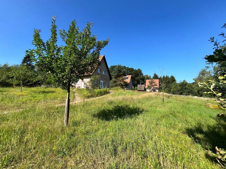 foto16