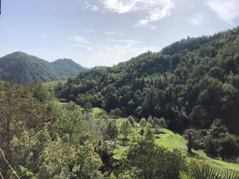 foto11