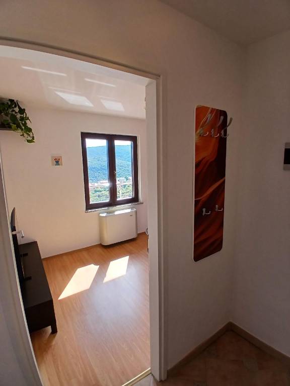 foto7