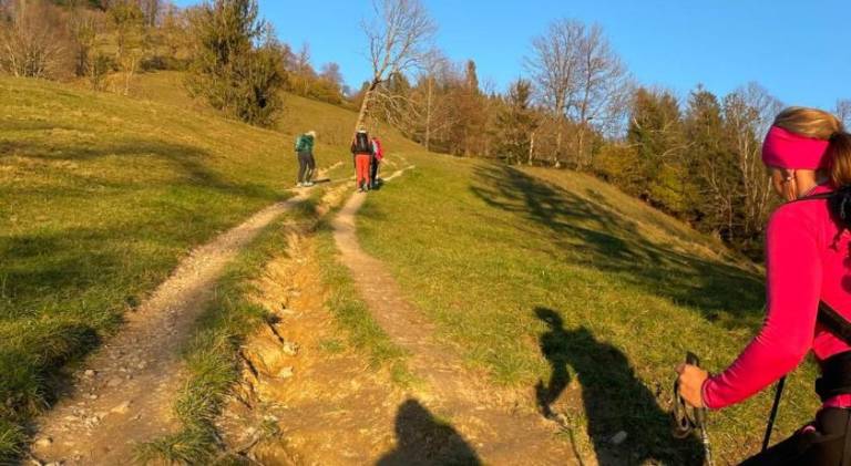 foto49