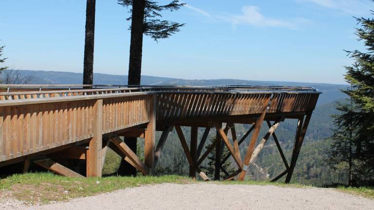 Ferienwohnung Kniebis