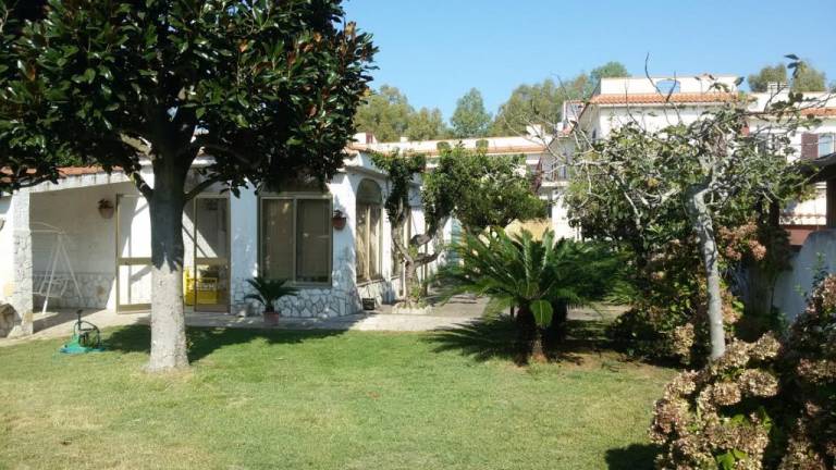 foto11