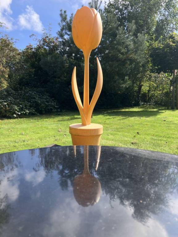 foto11