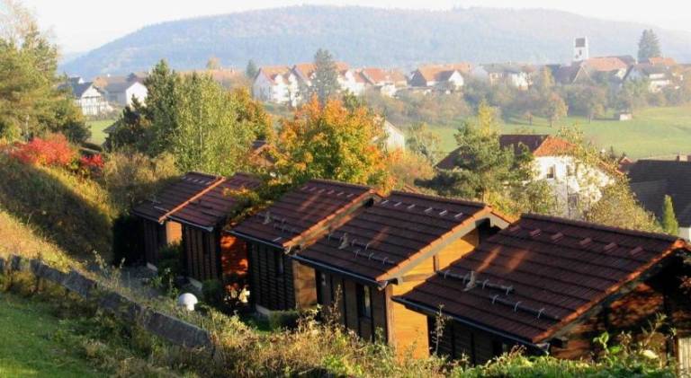 Apartment with barbecue, garden & terrace in Villingen-Schwenningen
