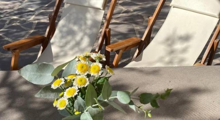 Apartment with garden & terrace | Pets are welcome in Aegina