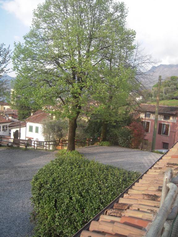 foto16