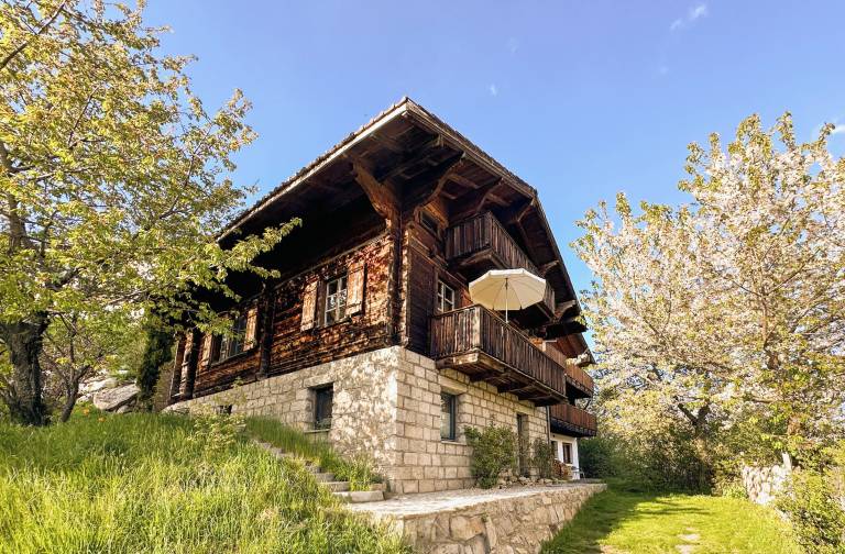 Chalet Bettmeralp