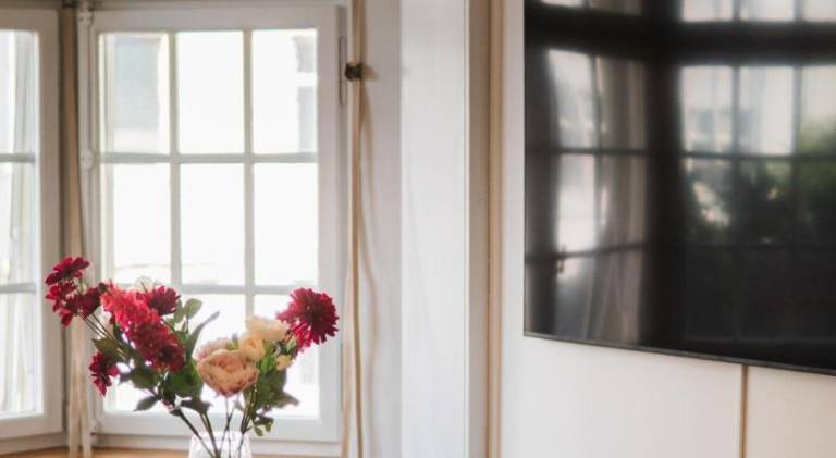 Beautifully renovated historic apartment near Messe Basel — photo 5