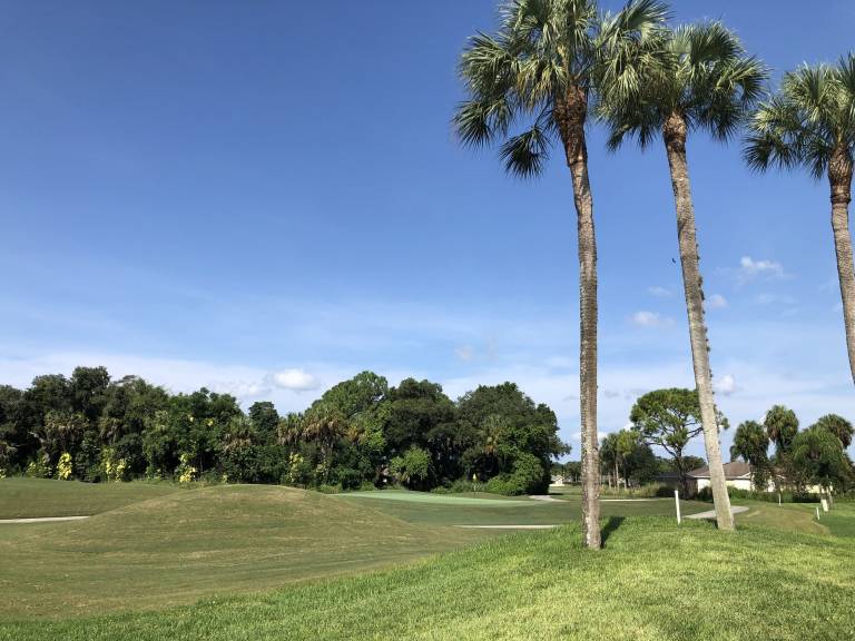 Condo Estero