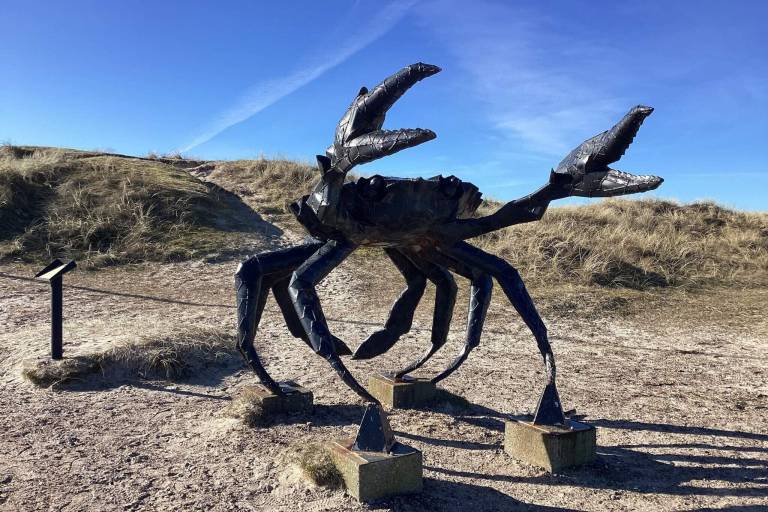 Ferienhaus  Slettestrand