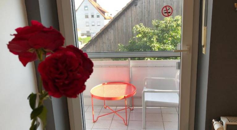 foto7