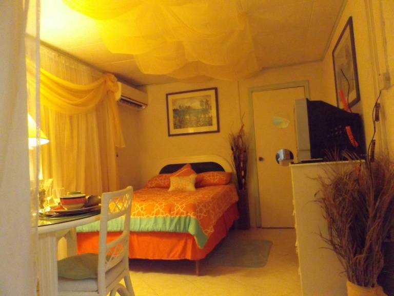foto5