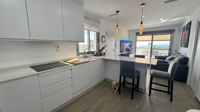 Holiday apartment | Close to the beach | Dogs allowed — photo 4